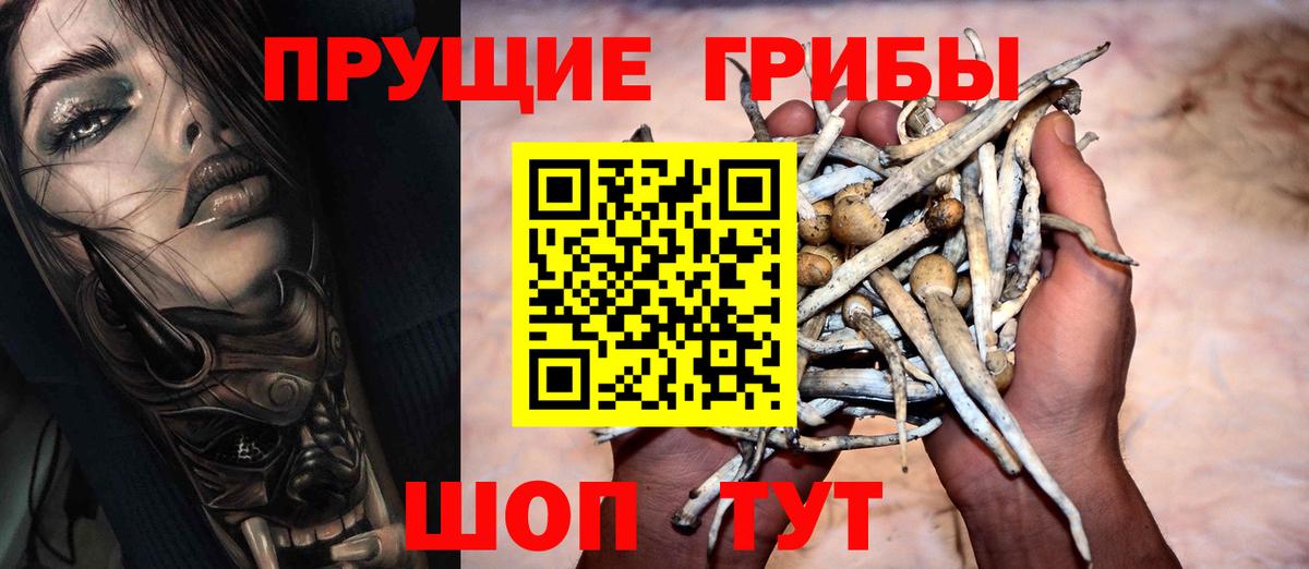 Псилоцибиновые грибы Magic Shrooms Канаш
