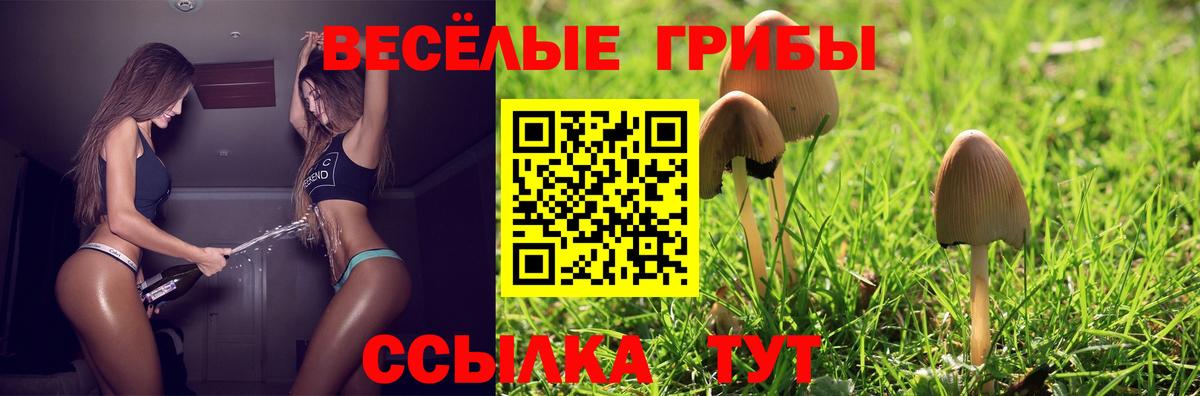 Галлюциногенные грибы Psilocybine cubensis  Псилоцибиновые грибы прущие грибы  Канаш  Вход с VPN 